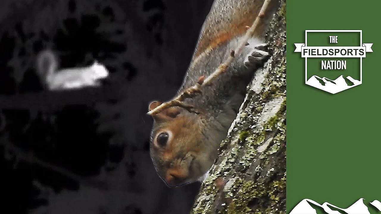 Operation Squirrel