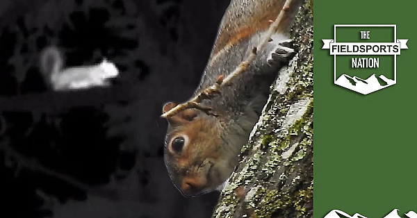 Operation Squirrel