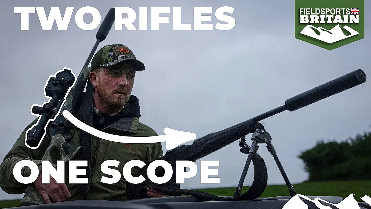 Pest Control: Two Rifles, One Scope