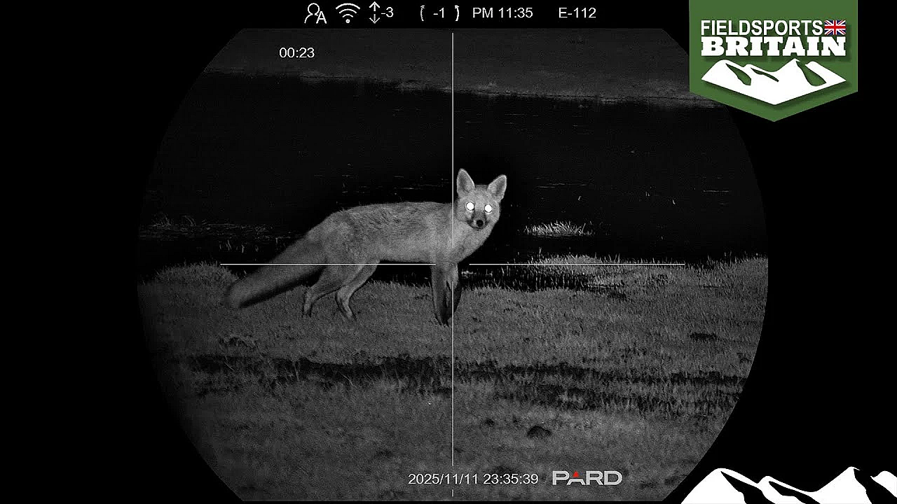 Fishing And Foxing