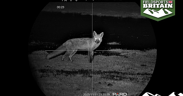 Fishing And Foxing