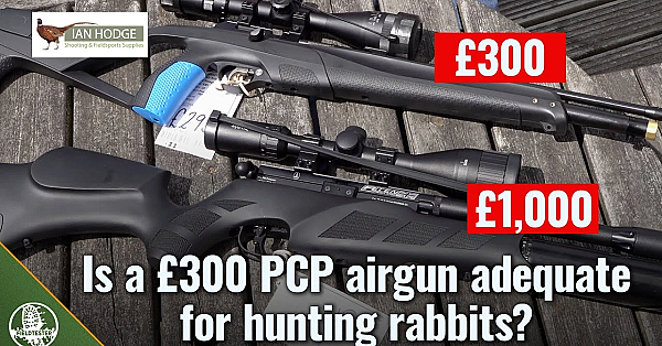 Is A £300 Pcp Airgun Good Enough For Hunting Rabbits?