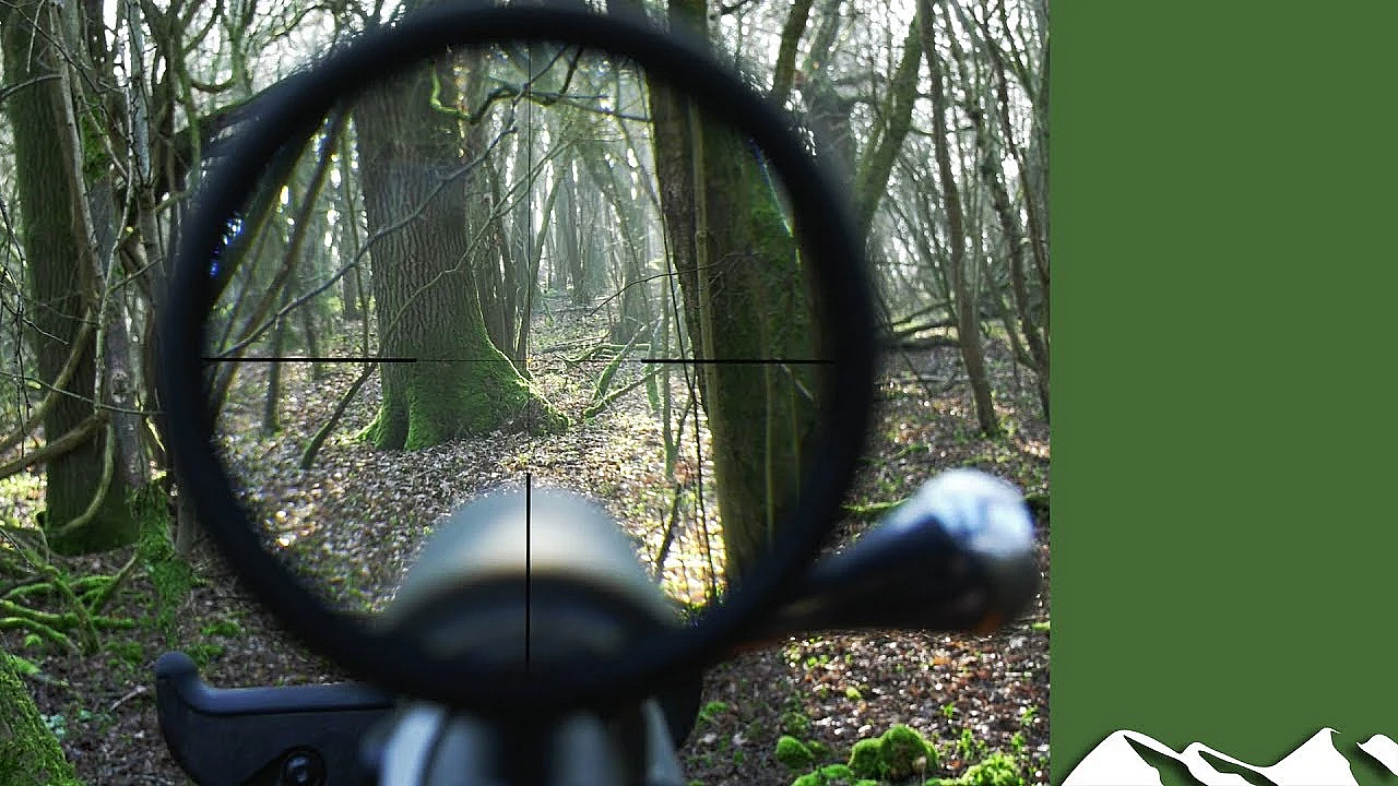 On Test: Leica Fortis Riflescope